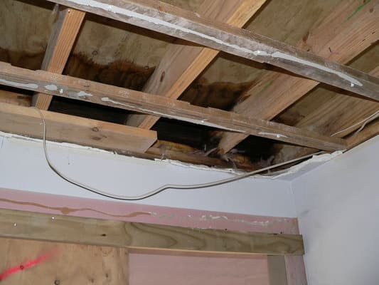 Walk to Deck Clearance Resulting Damage Risk House - Walk to Deck Clearance Resulting Damage