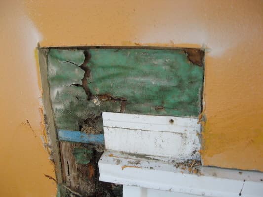 Window Head Flashing Resulting Damage Risk House - Window Head Flashing Resulting Damage
